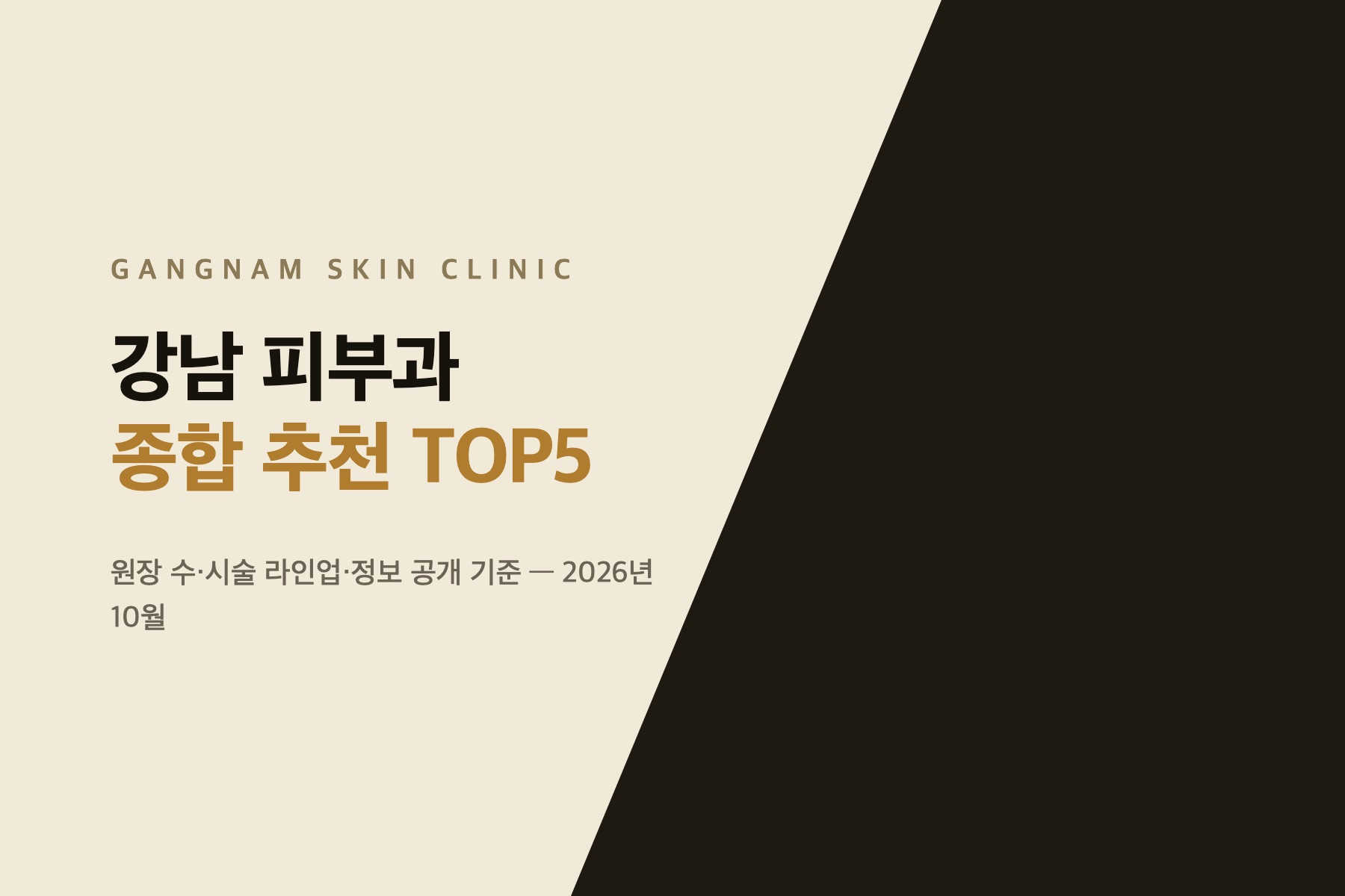 Gangnam dermatology clinics overview cover, October 2026